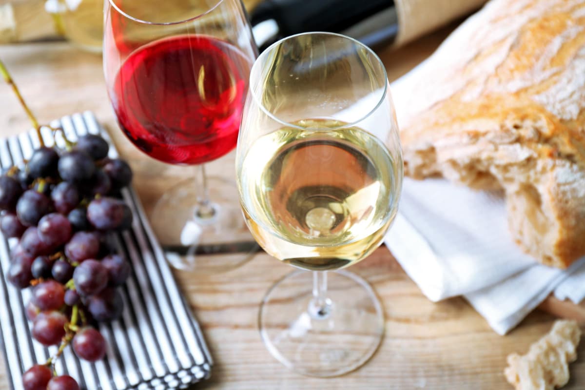 Riesling vs. Spätburgunder: Das Duell der Reben - Rheingau Kompass Blog