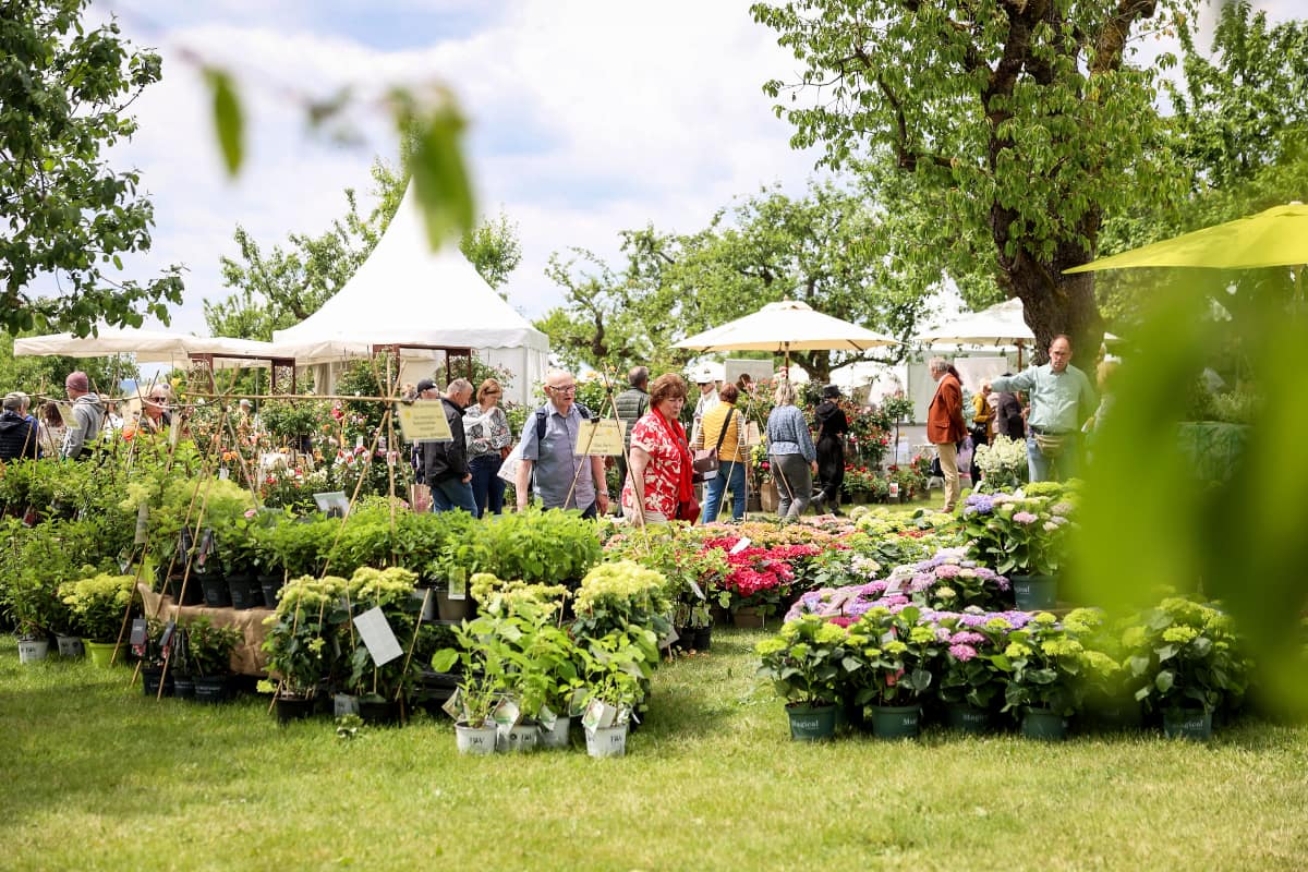 Das Fürstliche Gartenfest - Kloster Eberbach